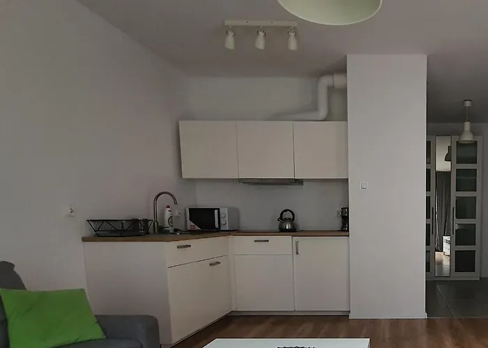 Z Basenem & - Srodmiescie - Stare Appartement