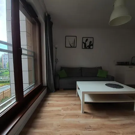 Apartmán Z Basenem & - Srodmiescie - Stare *