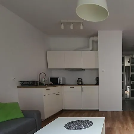 Z Basenem & - Srodmiescie - Stare Apartmán