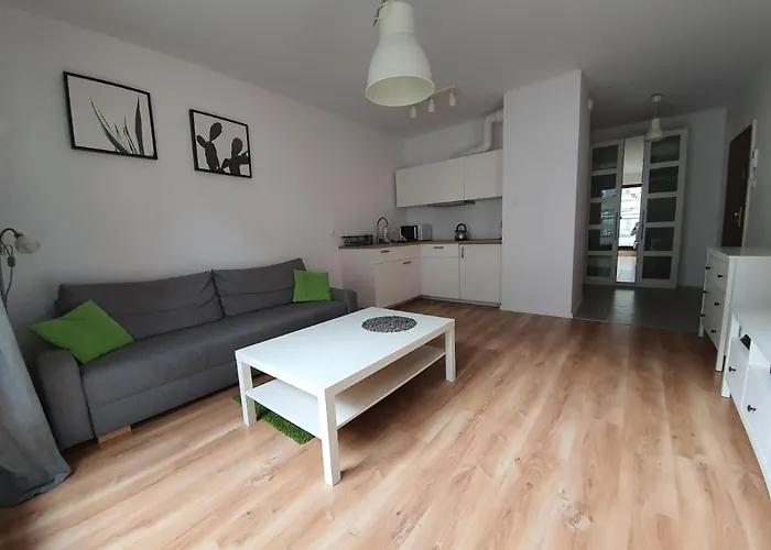 Z Basenem & - Srodmiescie - Stare * Gdansk