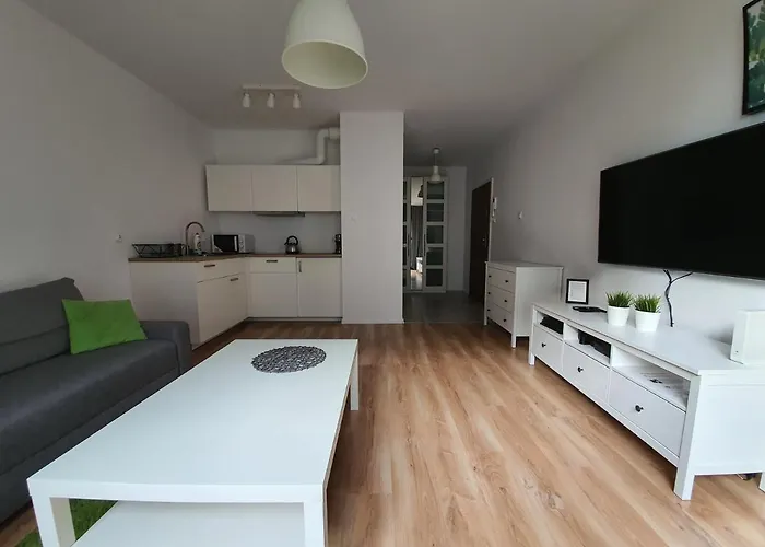 Z Basenem & - Srodmiescie - Stare Apartment *